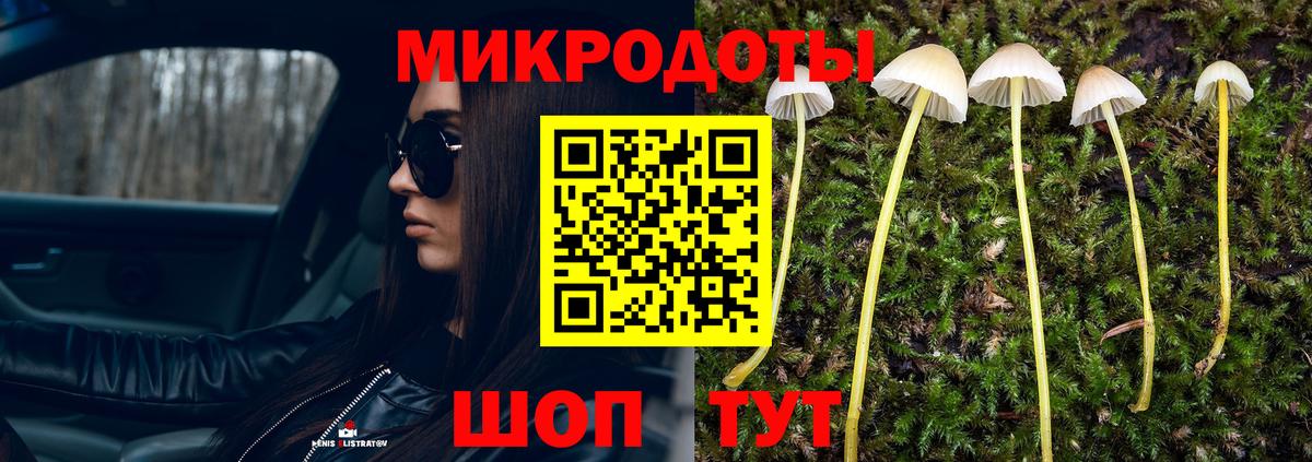 купить наркотик  Галлюциногенные грибы ЛСД  Вход с VPN  Можайск 