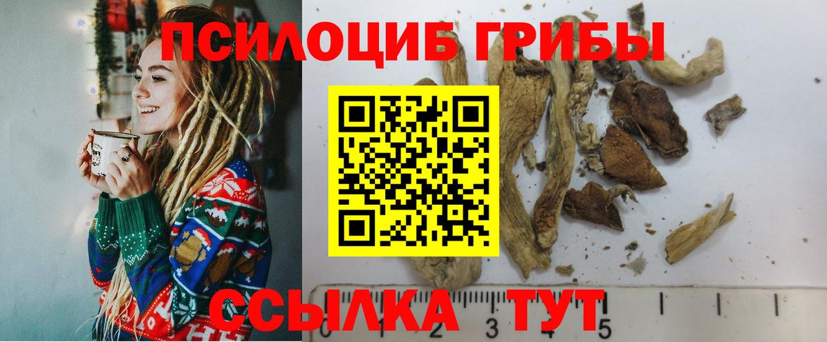 Галлюциногенные грибы мицелий Можайск